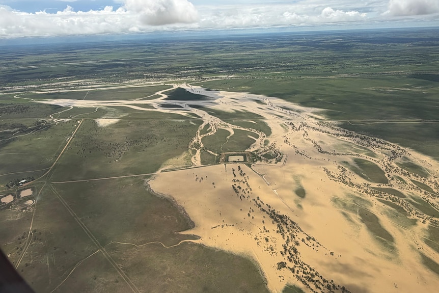 a picture from a plane of flooding rivers near Longreach