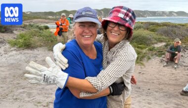 Denmark volunteers unite for coastal rehabilitation in wake of destructive tourist season