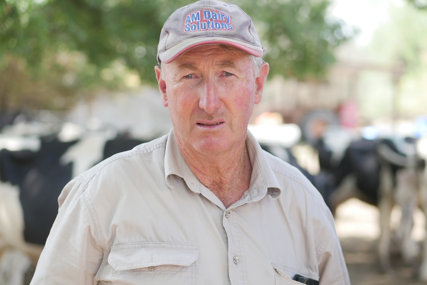 A man in a beige shirt with black and white cows in the background