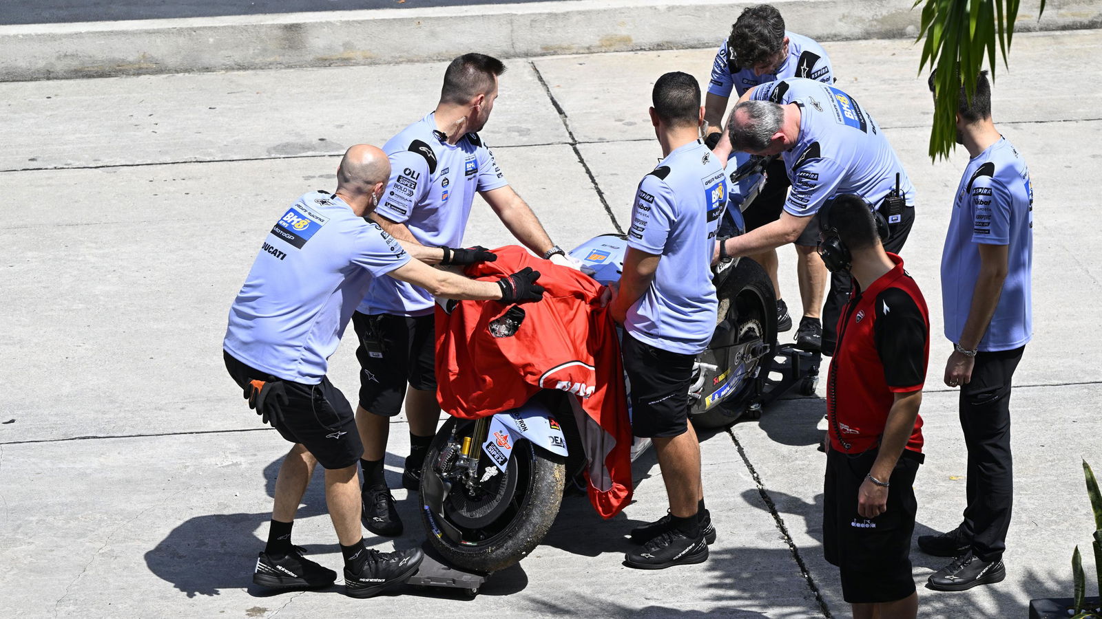 Alex Marquez's Ducati, 2026 Sepang MotoGP Test (Gold&Goose).