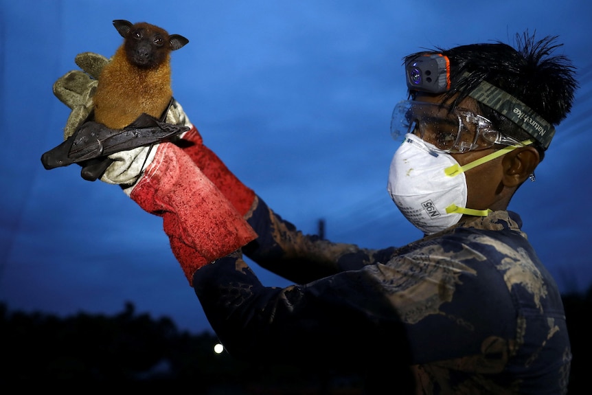 A man in protective goggles and a mask holds a bat in his hands