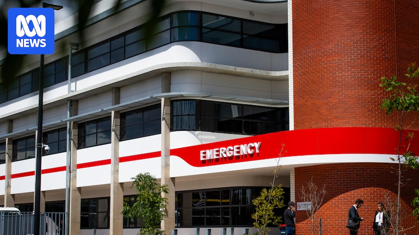 Nurses' strike at Adelaide's Lyell McEwin Hospital cancelled after pay increase ahead of state election start