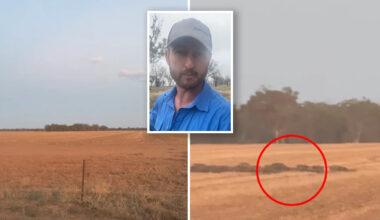 Farmer captures 'mind-blowing' video of invasive pest costing him $300,000 every year
