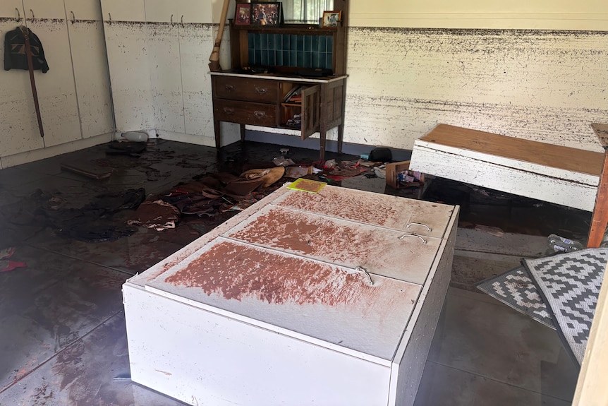 A living room full of muddy furniture and water.
