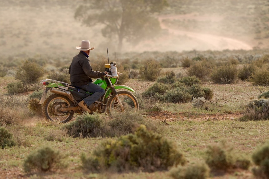 A search in outback terrain.