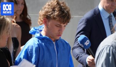 Brodie Jake Dewar faces upgraded charge of manslaughter after Labor identity Tim Picton's death