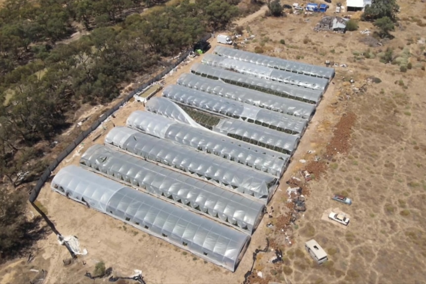 10 greenhouses stand in a row on a property