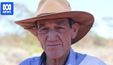 Concerns over death of iconic salmon gums in WA's Great Western Woodlands