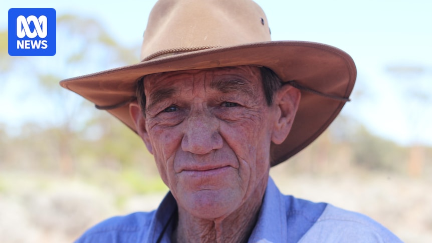 Concerns over death of iconic salmon gums in WA's Great Western Woodlands