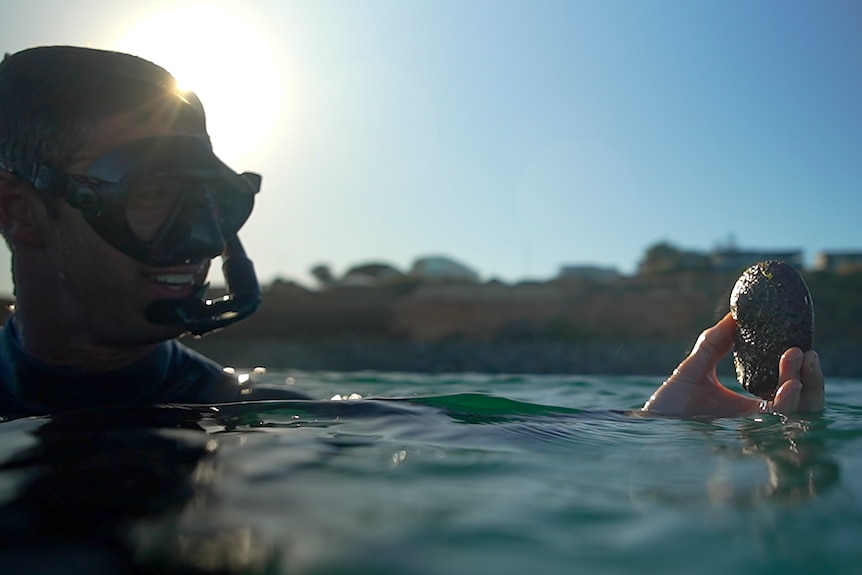 A man in a dive suit and snorkelling mask in the water and holds up a shell