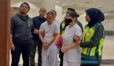 Trio get jail, RM128.9mil in fines for illegal possession of wildlife parts