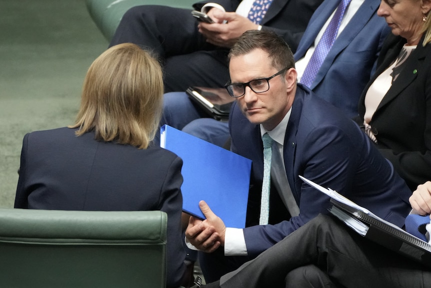 Alex Hawke Sussan Ley__5418d920e22b5a888ce9b6351d973886