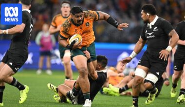 Wallabies Rugby World Cup matches revealed against All Blacks, Hong Kong China and Chile