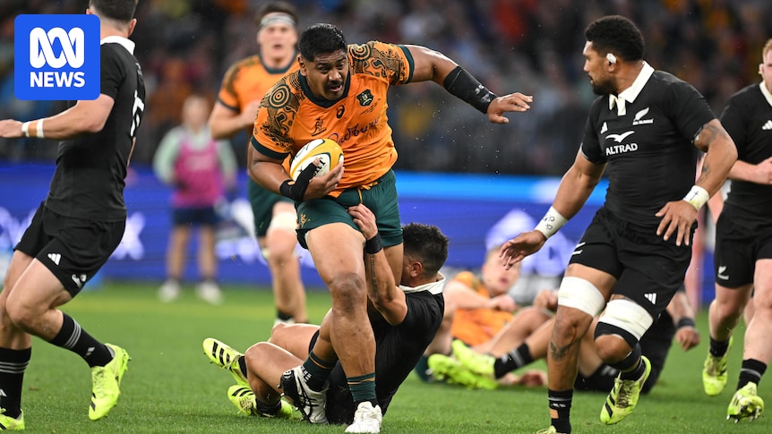 Wallabies Rugby World Cup matches revealed against All Blacks, Hong Kong China and Chile