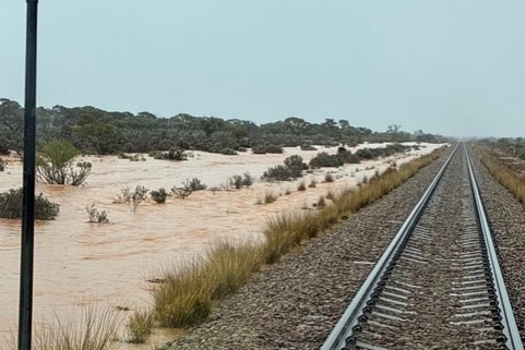 Heavy flooding seen to one side of the elevated rail track in remote SA.