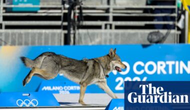 Very good dog invades course but falls short of medal glory at Winter Olympics | Winter Olympics 2026