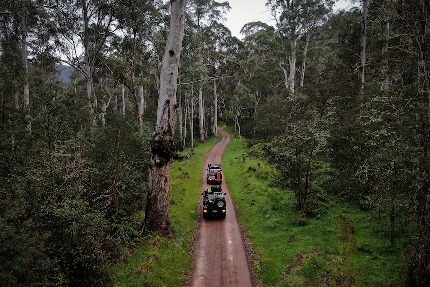 An aerial view shows a 4WD vehicle driving down a dirt track