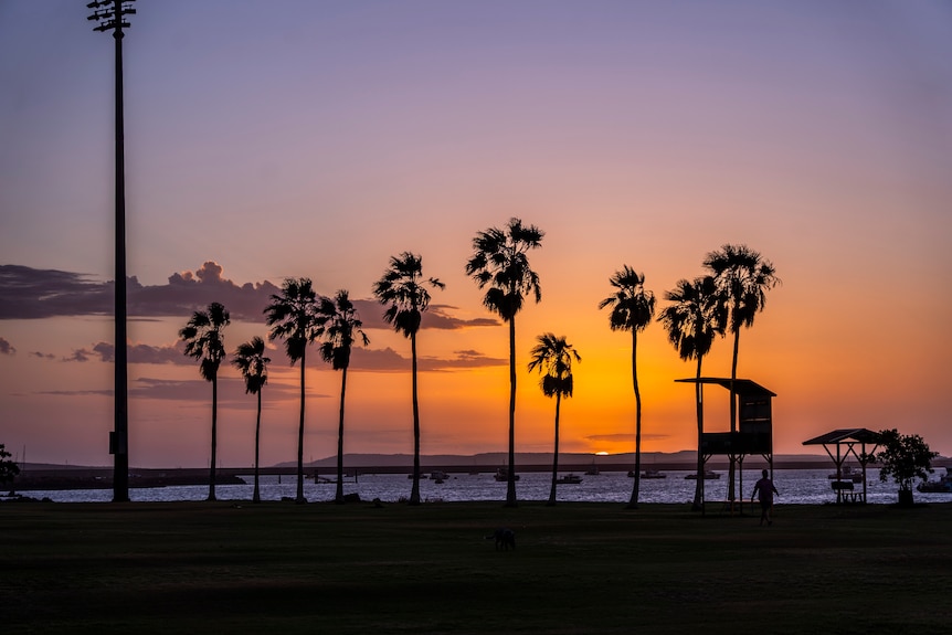 orange sunset over palm trees at a footy oval