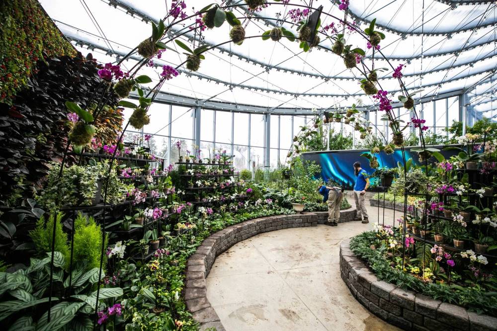 MIKAELA MACKENZIE / FREE PRESS
The Leaf transitions to its new exhibit.