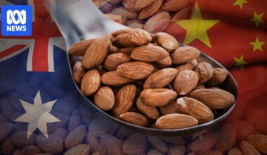 Australia's almond industry cracks $1.3 billion mark as Chinese demand rises