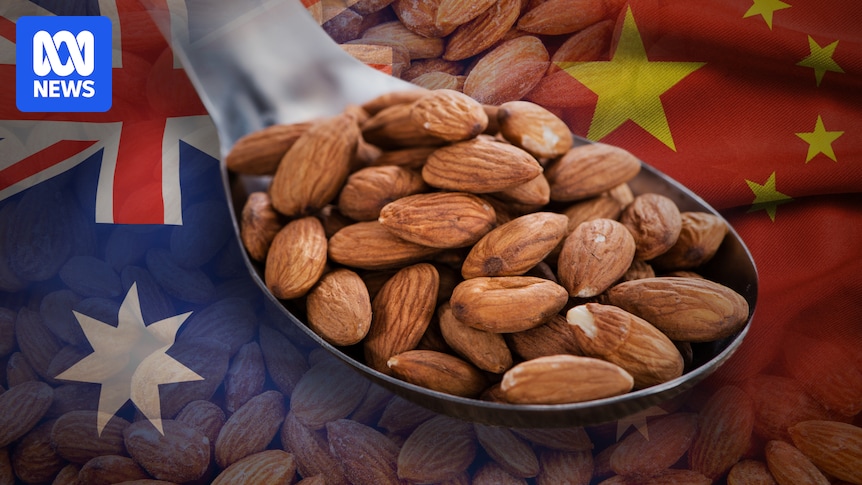 Australia's almond industry cracks $1.3 billion mark as Chinese demand rises