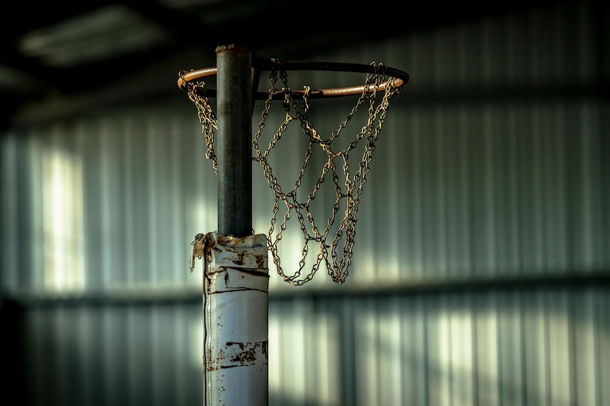 A netball ring.