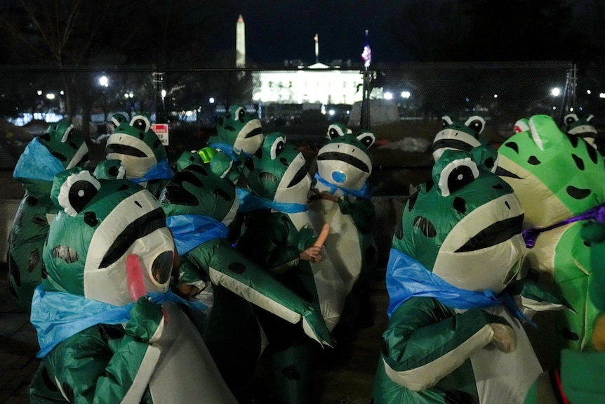People wear inflatable frog costumes with the White House in the background.