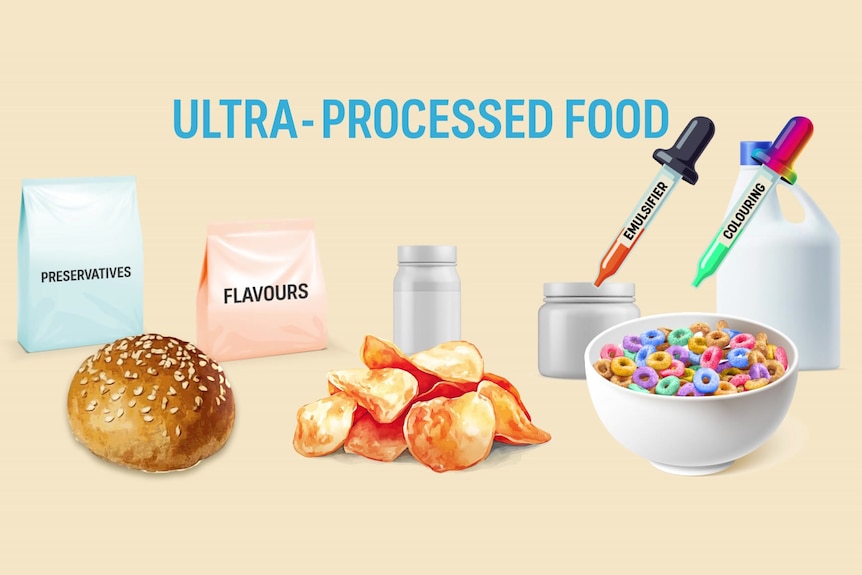 An illustration showing an example of foods that are ultra-processed including bread, cereal and chips.
