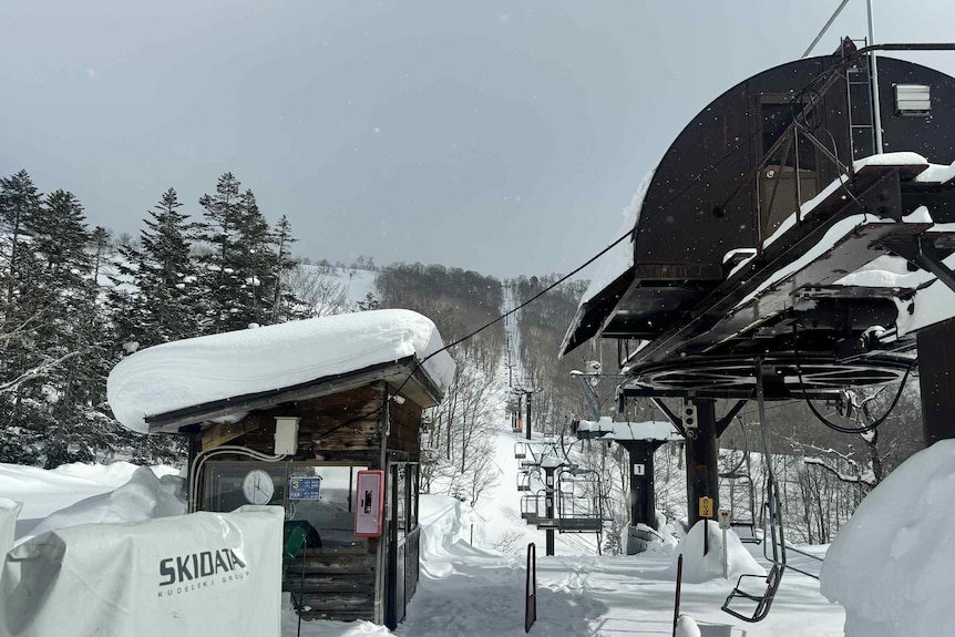 Close up of a ski lift running towards a snowy, forested mountain.