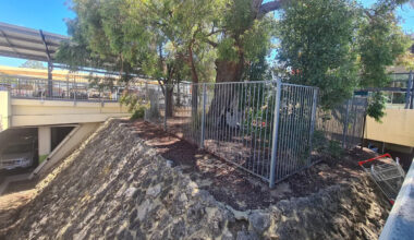 Concern for '1,500-year-old' natural wonder at edge of Coles car park: 'Monstrous decision'
