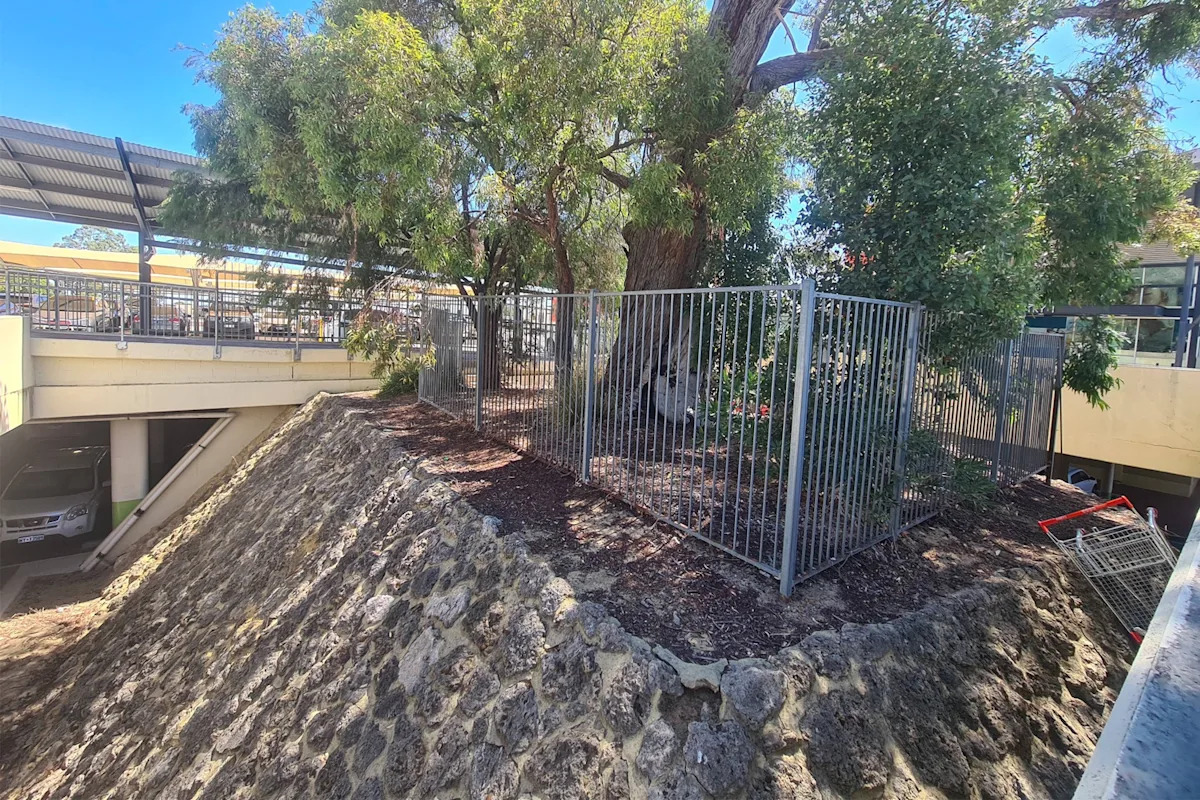 Concern for '1,500-year-old' natural wonder at edge of Coles car park: 'Monstrous decision'