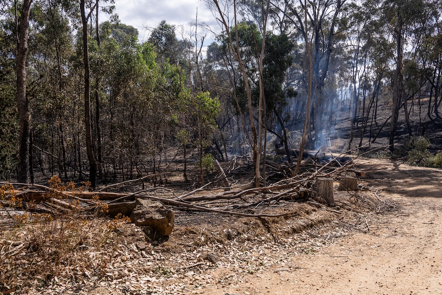 A dirt road winds around a bend where smoke rises from burnt ground and trees.
