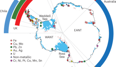 Emergence of Antarctic mineral resources in a warming world