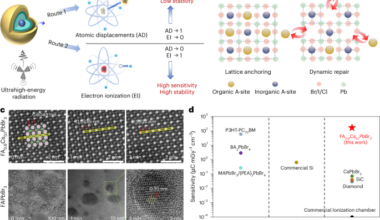 Highly sensitive and stable perovskite detector for ultrahigh-energy radiations via dynamic repair regulation