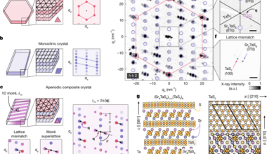 Higher-dimensional Fermiology in bulk moiré metals