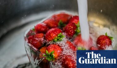 Should you sanitise your strawberries? Experts on the right way to wash fruit and vegetables | Australian food and drink