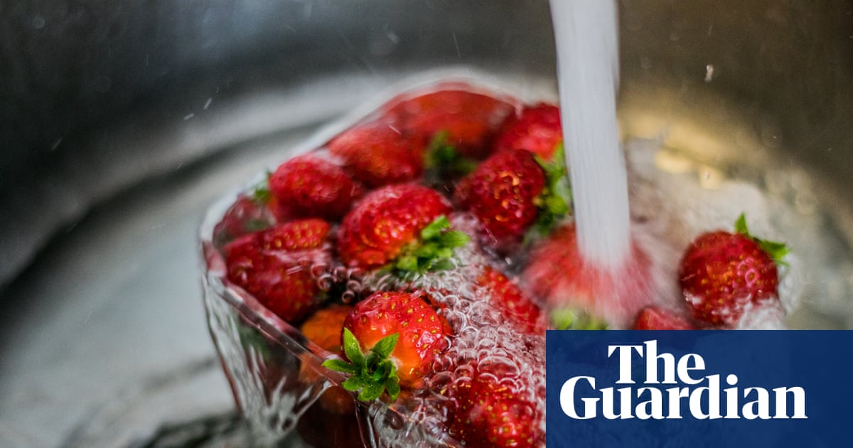 Should you sanitise your strawberries? Experts on the right way to wash fruit and vegetables | Australian food and drink