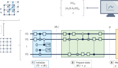 Simulating fermions with a digital quantum computer