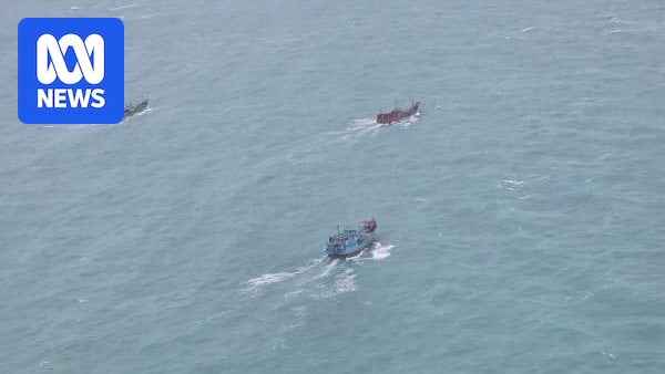 Flotilla of foreign fishing boats spotted in Torres Strait waters