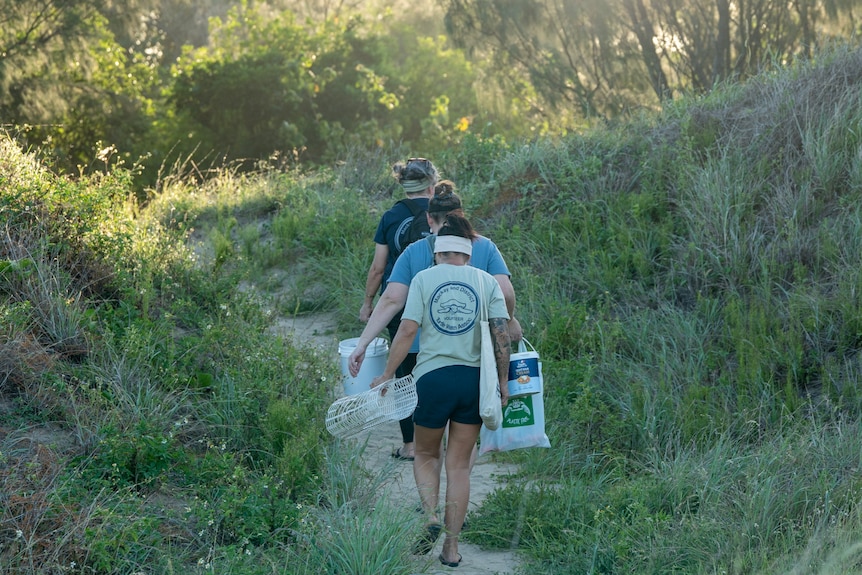 Three women carrying buckets and plastic mesh walk through grassy sand dunes.