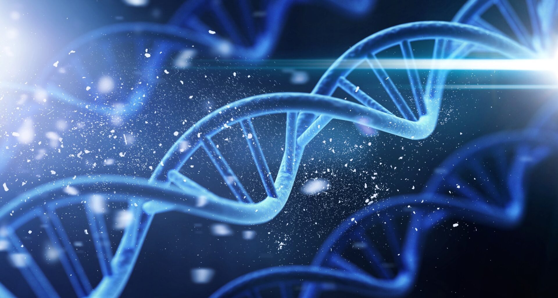 Genes may determine half of human lifespan: Study