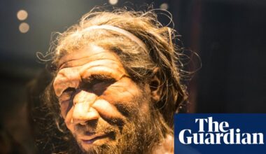 Research suggests mating direction bias between Neanderthals and humans | Neanderthals
