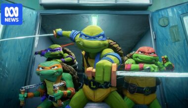 ABC 50/50 quiz: This week we're testing your knowledge of Ninja Turtles, Netflix and nagging pain