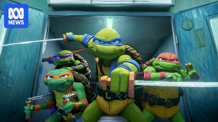 ABC 50/50 quiz: This week we're testing your knowledge of Ninja Turtles, Netflix and nagging pain
