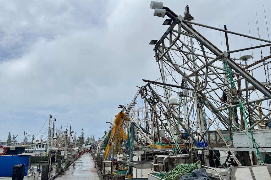 Lots of trawlers in a row
