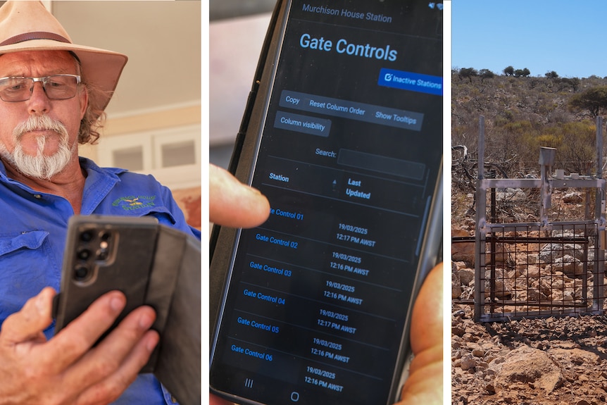 A collage of a man with a phone, a phone screen and a gate.