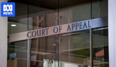 Christchurch terrorist gives testimony in NZ appeal court as he attempts to vacate guilty pleas over 2019 attack