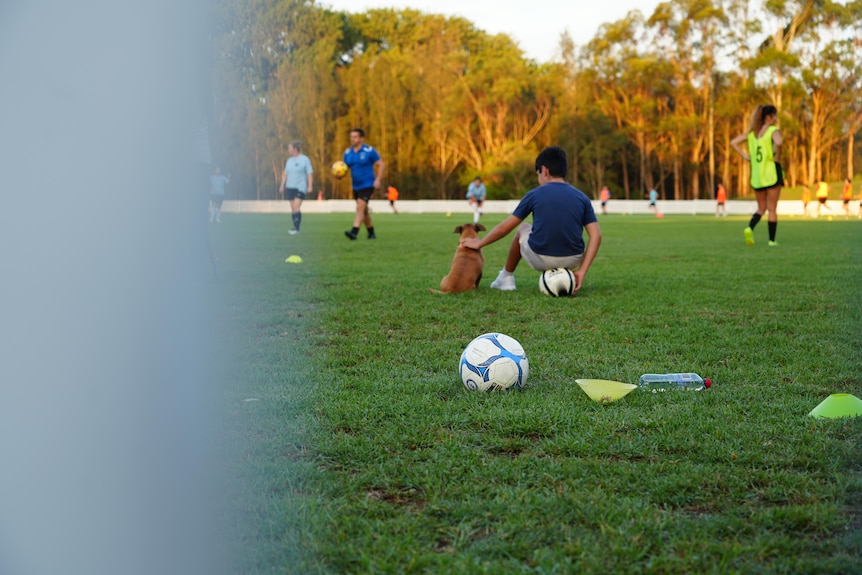 A young boy sits on a soccer ball and pats a dog, while he watches women train. 