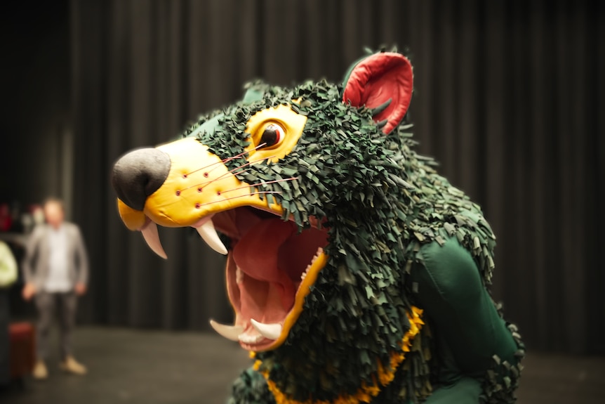 Tassie Devils unveil their new mascot, Rum'un 2025-03-18 11:03:00