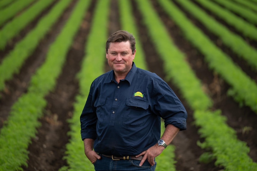 A man standing in front of rows of crops